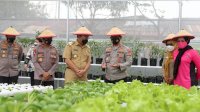 Danny bersama Merdisyam Panen Perdana