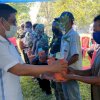 Edy Manaf Bagikan 7000 Pohon Bibit Cengkeh ke Petani di Bulukumba