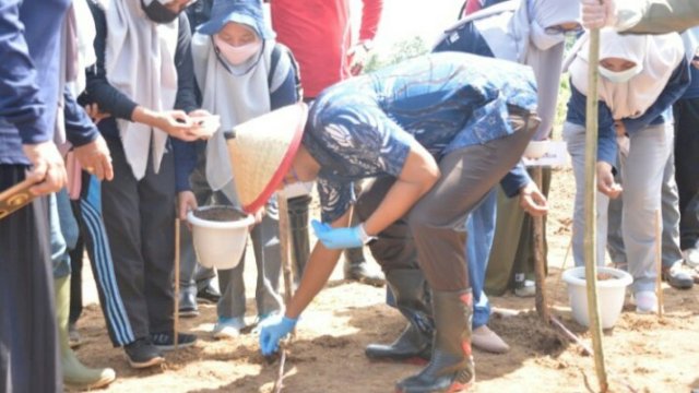 ASA melakukan penanaman jagung perdana.