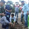 Bibit Tanaman Produktif dari BPDAS Jeneberang, Wabup Sinjai Minta Karang Taruna Merawatnya