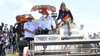 Mentan SYL Panen Raya di Jeneponto