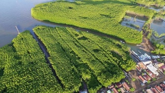 Pemandangan dari udara, melihat wisata Tongke-tongke. (Drone/Tribun Timur/Int).