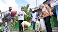 Desa Lantang Tallang Terima 46 Ekor Kambing Program Family Farming