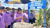 Bupati Andi Utta Canangkan Program 1000 Rumpon