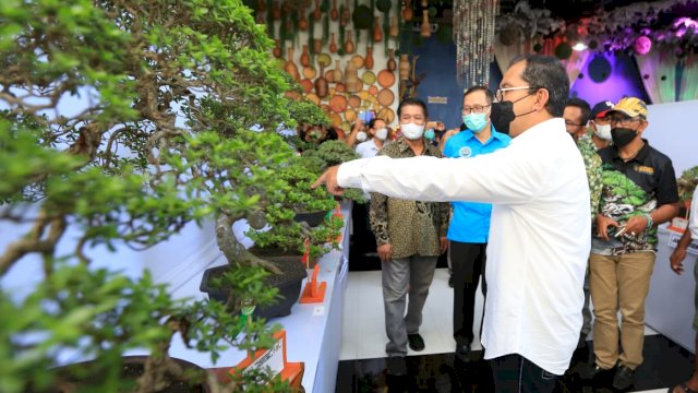 Wali Kota Makassar Sebut Bonsai Pemicu Makassar Jadi Kota Dunia