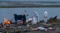 Angka Kematian Warga India Meningkat Drastis di Tengah Krisis Pandemi Covid-19, Ini Faktanya