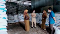 Musim Tanam Padi April-September, Pemkab Sinjai Jamin Ketersediaan Pupuk Bagi Petani