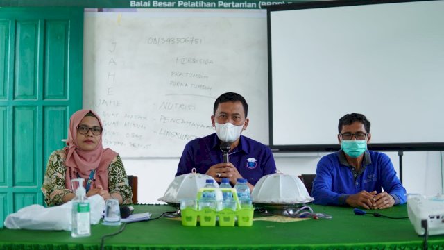 Besarnya Animo Masyarakat Tanam Jahe, Dinas Pertanian Luwu Gelar Pelatihan