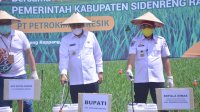 PT Petrokimia Gresik Semprotkan Pupuk Bersubsidi Organik Phonska OCA di Sidrap