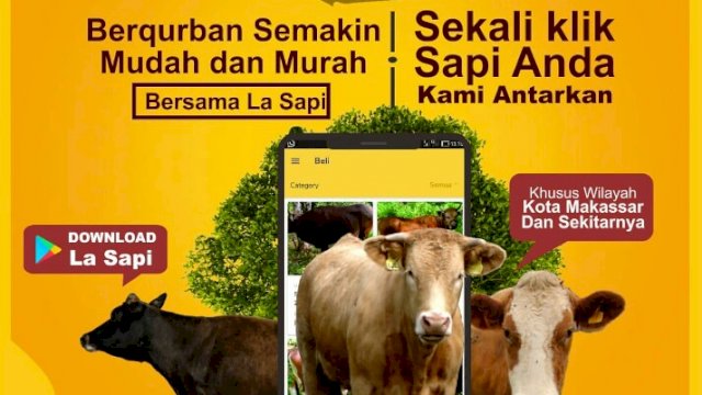 Dinas Peternakan Sinjai Punya Program LA SAPI Sebagai Solusi Bila Ingin Beli Hewan Kurban Lewat Online, Ini Caranya