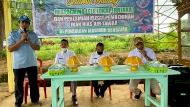 Pembudidaya Ikan di Tellulimpoe Sinjai Restocking Bibit Lele Lokal &lsquo;BAJAKA&rsquo;