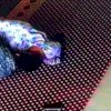 Setelah Sepasang Muda-mudi di Maros Ini ‘Mantap-mantap’ dalam Masjid, Mereka Juga Curi Duit Celengan Lalu Kabur