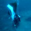 TNI AL Lampia-Mori Diving Club Peringati Hari Lahir Pancasila 2021 Di Bawah Laut