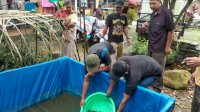 3 Kecamatan di Sinjai Terima Bantuan Benih dan Calon Induk Ikan Nila Salin, Bupati ASA: Semoga Bermanfaat