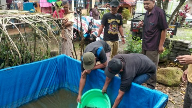 3 Kecamatan di Sinjai Terima Bantuan Benih dan Calon Induk Ikan Nila Salin, Bupati ASA: Semoga Bermanfaat