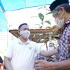 Bupati Bantaeng Apresiasi Program Padat Karya Budidaya Pala Bonto Tappalang
