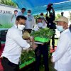 Mentan SYL Serahkan Bantuan Pisang dan Program Pertanian di Jeneponto