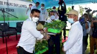 Mentan SYL Serahkan Bantuan Pisang dan Program Pertanian di Jeneponto