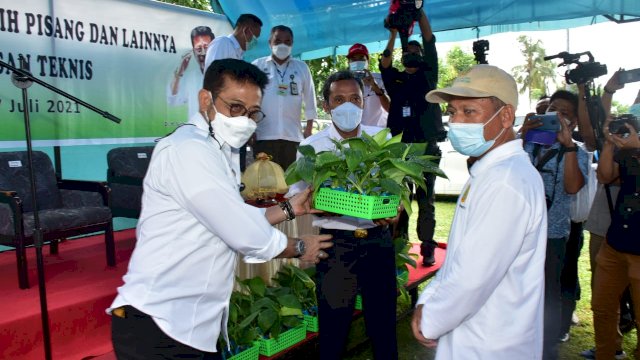 Menteri Pertanian Syahrul Yasin Limpo (Mentan SYL) menyerahkan bantuan benih pisang sebanyak 20 ribu pohon, bibit ternak, prasarana dan sarana pertanian, alat mesin pengolahan lontar menjadi cuka dan program pertanian lainnya serta bimbingan teknis kepada para petani dan penyuluh. 