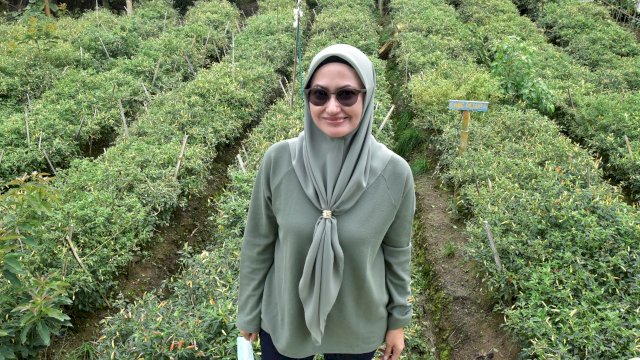 Trotoar.id, Luwu Utara ---- Kecamatan Rongkong kini menjadi primadona untuk berakhir pekan. Setiap akhir pekan, Rongkong menjadi destinasi paling sering dikunjungi, tak hanya warga Luwu Utara, tapi juga warga di luar Luwu Utara. 