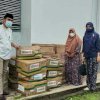 Dinas TPHP Sinjai Lakukan Pengendalian Hama yang Menyerang Persawahan