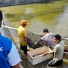 Latih Pemuda Bissappu dan Sinoa, Petambak: Terimakasih Bupati Bantaeng