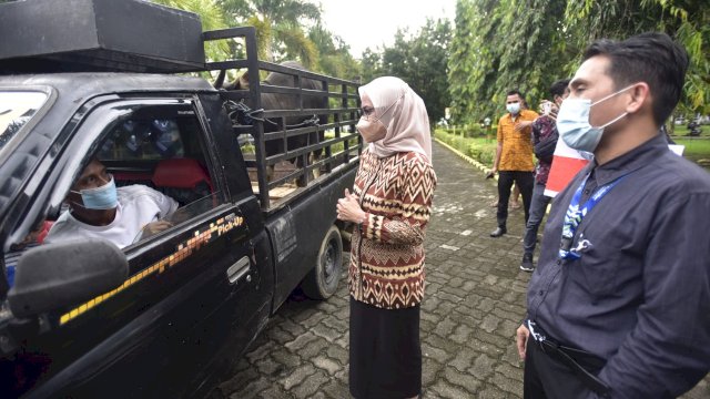 Pemda Lutra Terima Satu Ekor Sapi Kurban dari Bank Sulselbar Masamba
