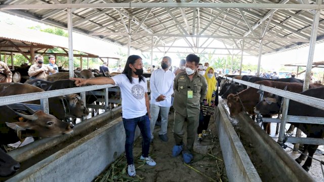 Jelang pelaksanaan shalat Idul Adha yang akan di helat pada 20 Juli 2021 mendatang, Menteri Pertanian RI Syahrul Yasin Limpo bertandang ke Kota Makassar dan mengunjungi RPH Rumminansia Manggala, Minggu (18/7/2021).