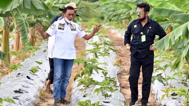 Menteri Pertanian Syahrul Yasin Limpo Bersama Syaharuddin Alrif