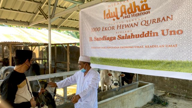 Program 1000 Ekor Hewan Kurban, Khalawatiyah Sulsel: Terimakasih Pak Sandiaga Uno!