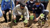 Wakil Ketua DPRD Sulsel Apresiasi Pengembangan Porang dan Walet Kementan