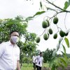 Tingkatkan Kesejahteraan Petani, Bupati Bantaeng Dorong Produksi Pangan Organik
