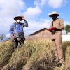 KTNA Sulsel Akui Program Pemkab Bantaeng Untungkan Petani dan Nelayan