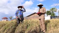 KTNA Sulsel Akui Program Pemkab Bantaeng Untungkan Petani dan Nelayan