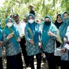 Dinas Ketahanan Pangan Dan TP PKK Luwu Ajak Warga Tanam Pohon Kelor