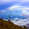 Rayakan HUT RI, Gunung Bawakaraeng Telan Dua Korban Meninggal Dunia