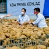 Jokowi Sebut Porang Akan Jadi Makanan Sehat Masa Depan