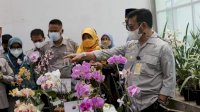 Mentan SYL: Indonesia Memiliki Kekayaan Genetik Florikultura Terbesar di Dunia