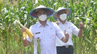 Bupati ASA Dorong Penyelesaian Konflik Agraria dan Penguatan Kebijakan Reforma Agraria untuk Kedaulatan Pangan