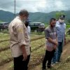 Tanaman Hortikultura Jadi “Andalan” di Sinjai Barat