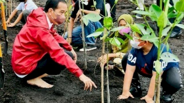 Saat Jokowi sedang menanam Mangrove bersama anak-anak.