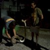 Aksi Heroik Brimob Bone Tangkap Ular Phyton di Area Pemukiman Warga