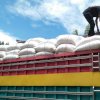Pemerintah Pusat Kirim 6 Ton Benih Kacang Tanah untuk Petani di Sinjai