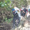 Sambut HUT Brimob ke-76, Batalyon C Pelopor Bone Baksos Bersihkan Pantai dan Tanam Mangrove