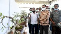 Pesona Bonsai di Bumi Lamaranginang Layak Bersaing Ditingkat Nasional