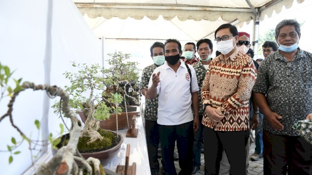 Pesona Bonsai di Bumi Lamaranginang Layak Bersaing Ditingkat Nasional