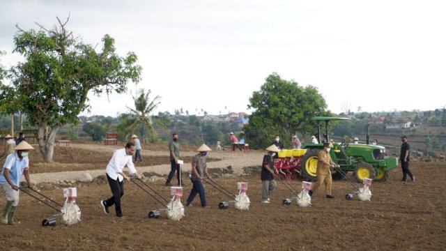 Jokowi tanam jagung bersama petani di Jeneponto, didampingi Plt Gubernur Sulsel, Menteri Pertanian RI, dan Menko Perekonomian.