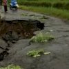 Longsor, Jalan Poros Sinjai&mdash;Malino Dikabarkan Terputus