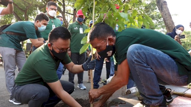 Pemkab Bantaeng Siapkan 40 Ribu Pohon untuk Konservasi Lingkungan