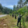‘Hijaukan’ Toraja, 5 Ribu Pohon Ditanam di Jalan Masuk Bandara Buntu Kunik